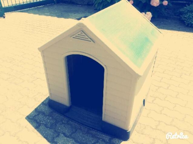 Gaietta Bed and Breakfast Frassineto Po Εξωτερικό φωτογραφία